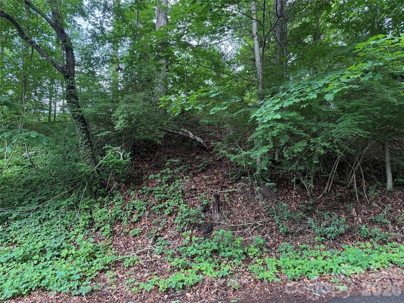 87 Iris St, Asheville, NC 28803