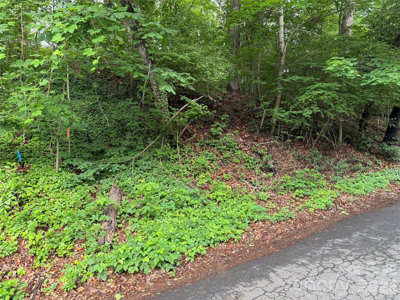 87 Iris St, Asheville, NC 28803