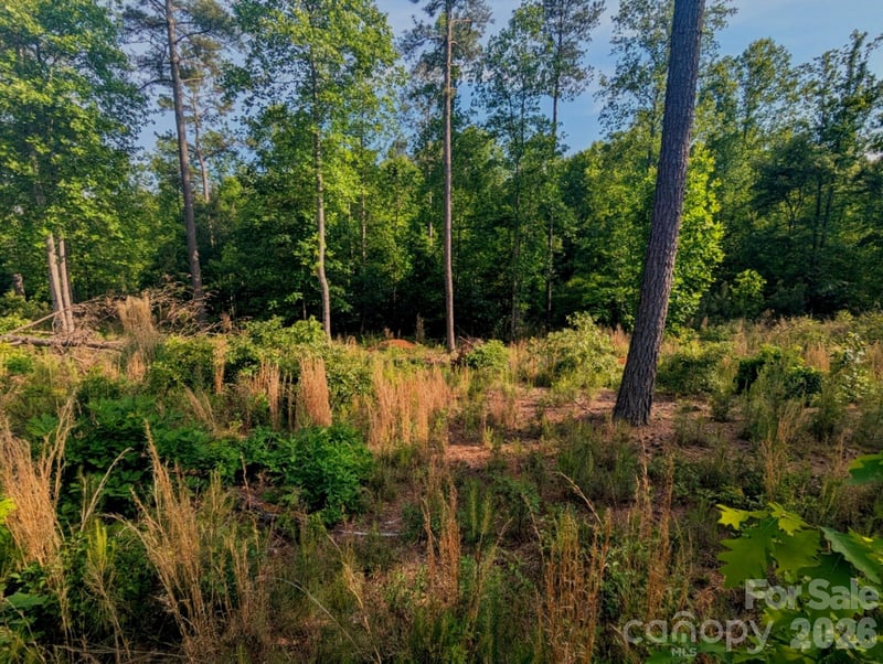 2162 Columbia Rg #4, Connelly Springs, NC 28612