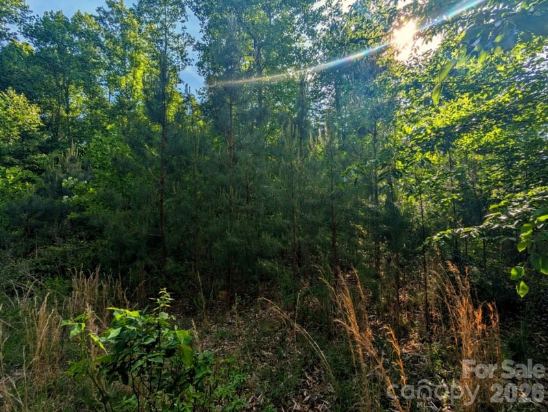 2162 Columbia Rg #4, Connelly Springs, NC 28612