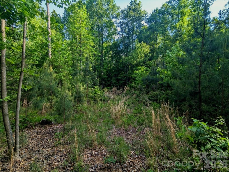 2162 Columbia Rg #4, Connelly Springs, NC 28612