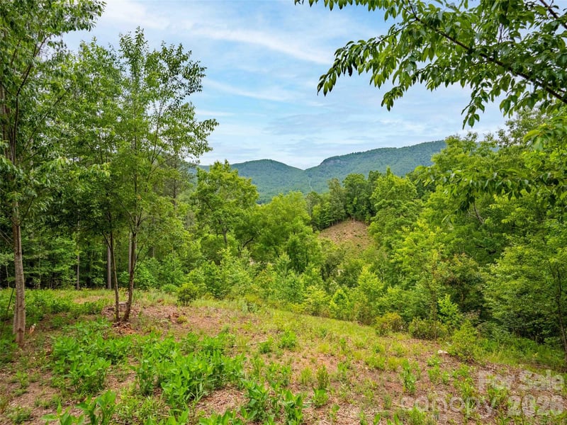 Lot 73 Chestertown Dr #73, Mill Spring, NC 28756