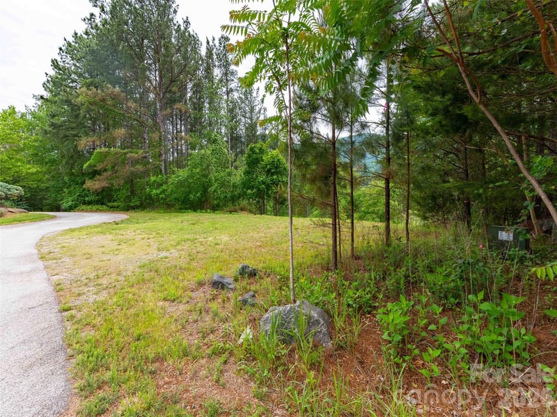 Lot 73 Chestertown Dr #73, Mill Spring, NC 28756