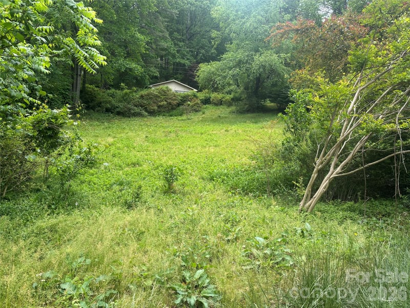 00000 Browning Ave, Hendersonville, NC 28739