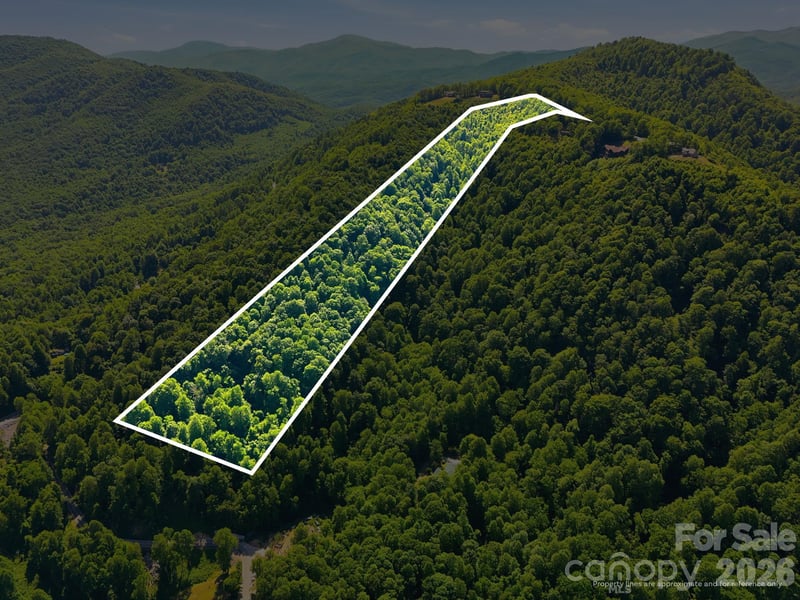 99999 Cliffledge Trl, Black Mountain, NC 28711