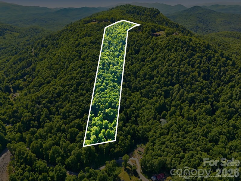 99999 Cliffledge Trl, Black Mountain, NC 28711