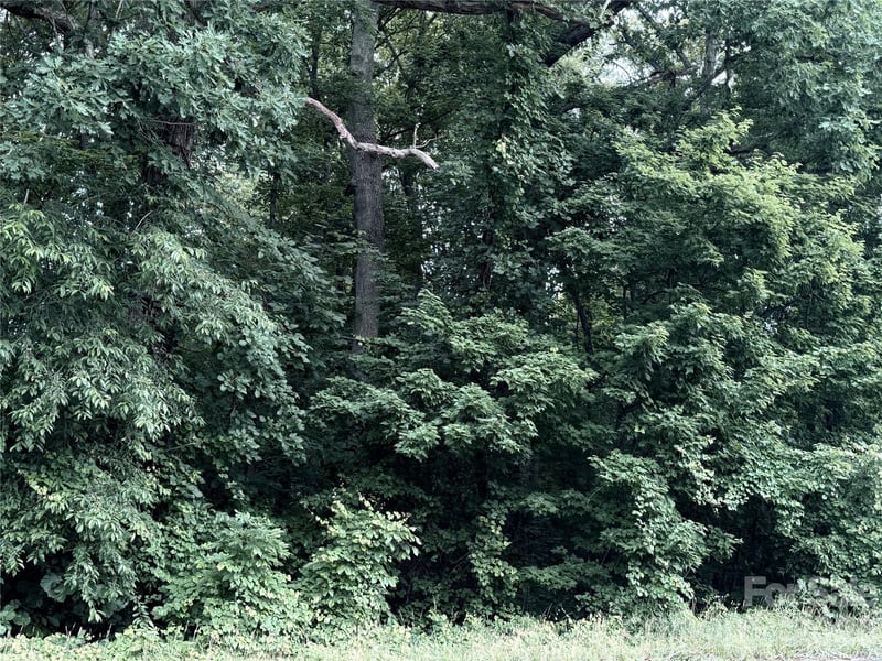 Buffalo Shoals Rd, Statesville, NC 28677
