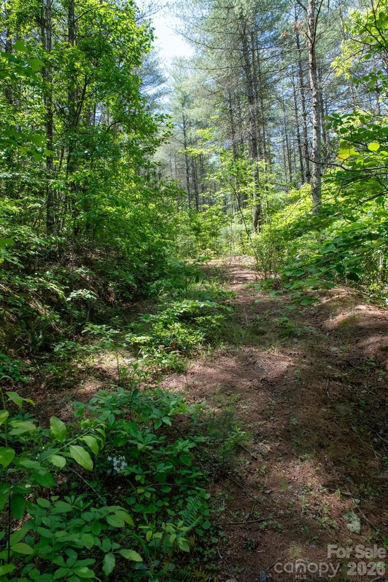 000 Narrow Gauge Dr #18, Lenoir, NC 28645