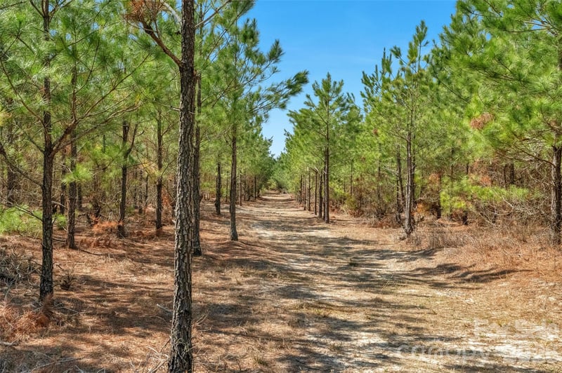 931 Charlie Johnson Rd #5, Kershaw, SC 29067