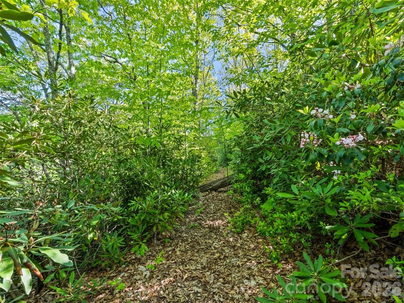 Sleepy Hollow Ln, Waynesville, NC 28786