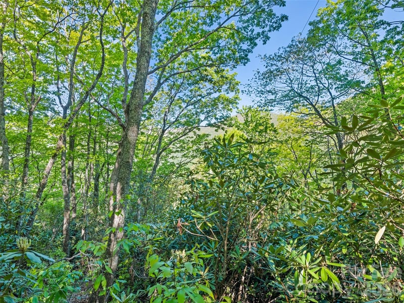 Sleepy Hollow Ln, Waynesville, NC 28786