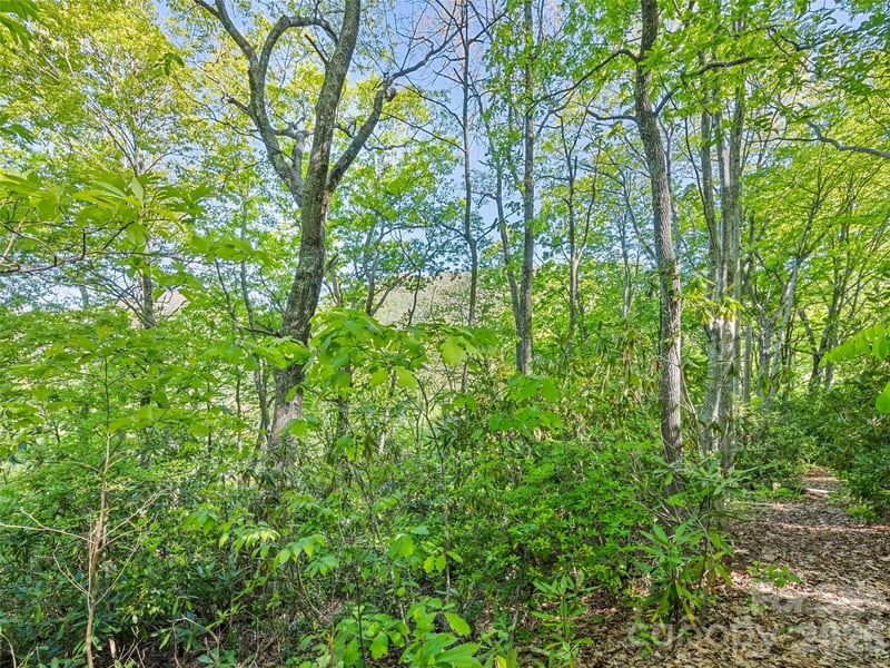 Sleepy Hollow Ln, Waynesville, NC 28786