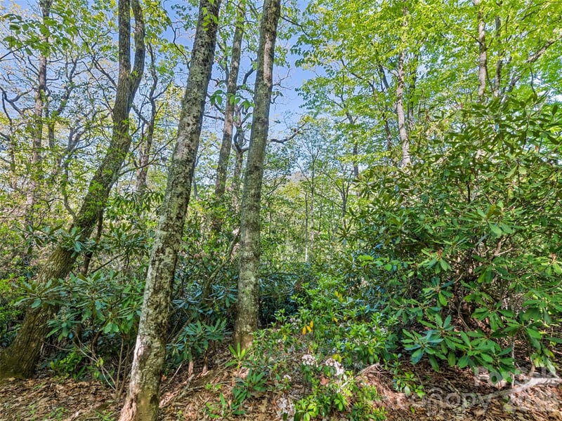 Sleepy Hollow Ln, Waynesville, NC 28786