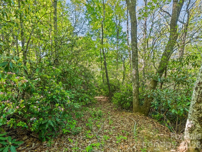 Sleepy Hollow Ln, Waynesville, NC 28786