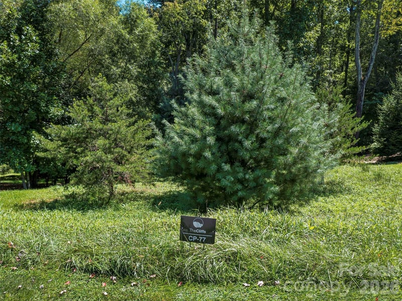 19 Mountain Orchid Way #77, Arden, NC 28704