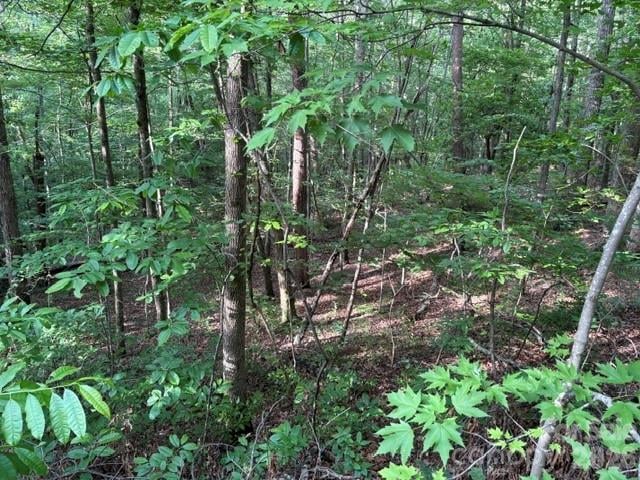 00 Cardinal Cir, Tryon, NC 28782