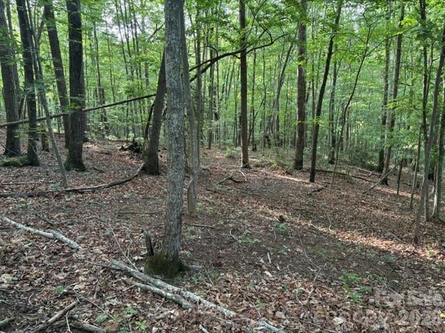 00 Cardinal Cir, Tryon, NC 28782