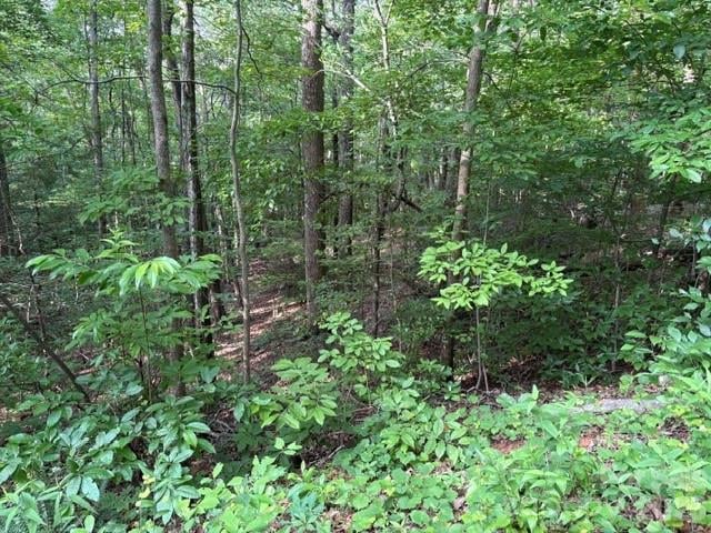 00 Cardinal Cir, Tryon, NC 28782