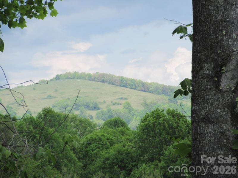 Rocky Top Trl #4, Hot Springs, NC 28743