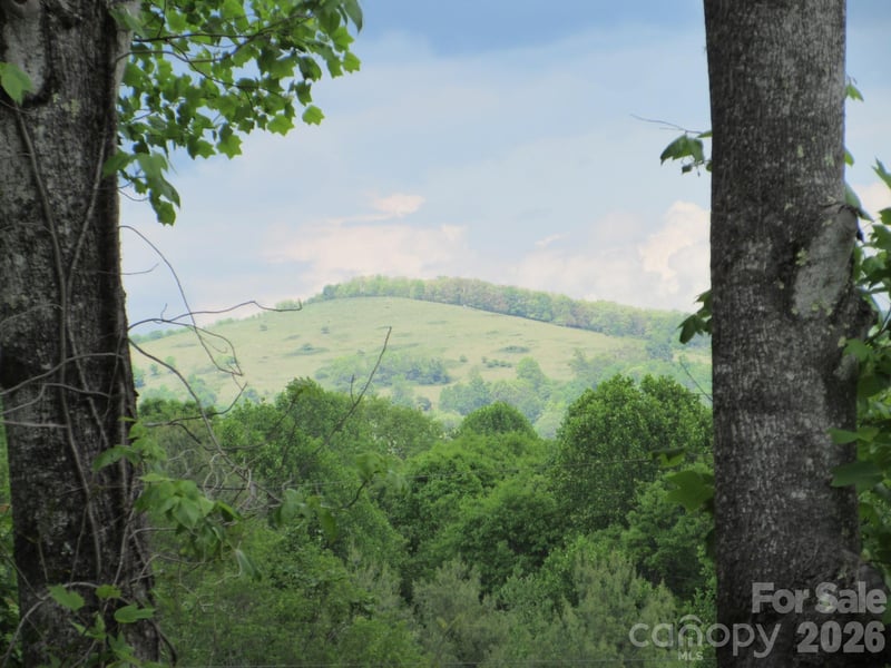 Rocky Top Trl #4, Hot Springs, NC 28743