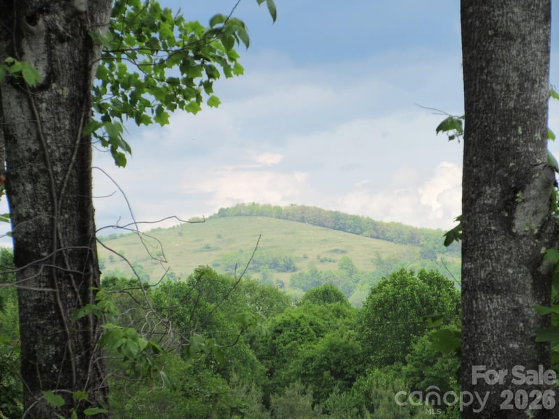 Rocky Top Trl #4, Hot Springs, NC 28743