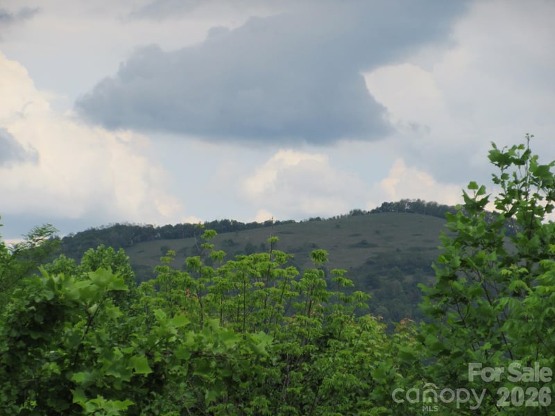 Rocky Top Trl #4, Hot Springs, NC 28743
