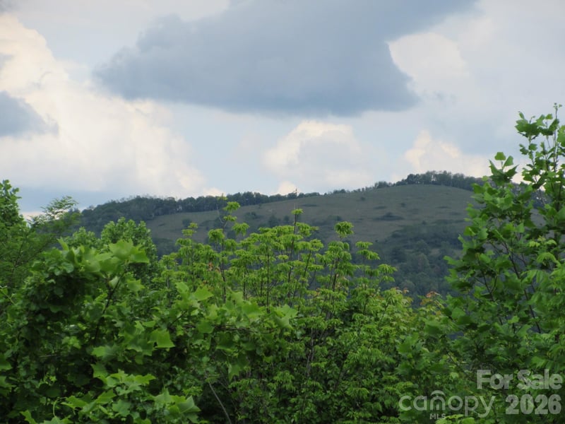 Rocky Top Trl #4, Hot Springs, NC 28743