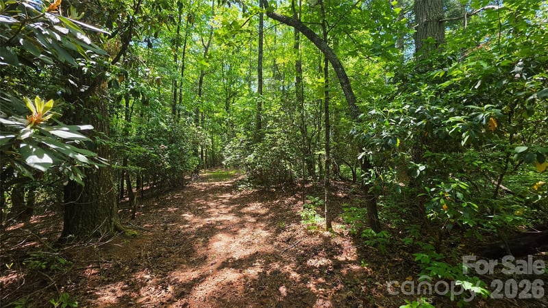262 Wingfield Way, Brevard, NC 28712
