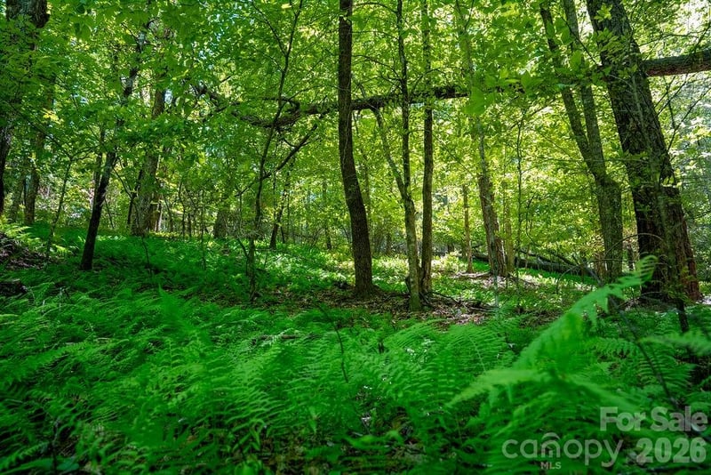 262 Wingfield Way, Brevard, NC 28712