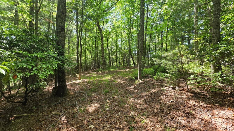 262 Wingfield Way, Brevard, NC 28712
