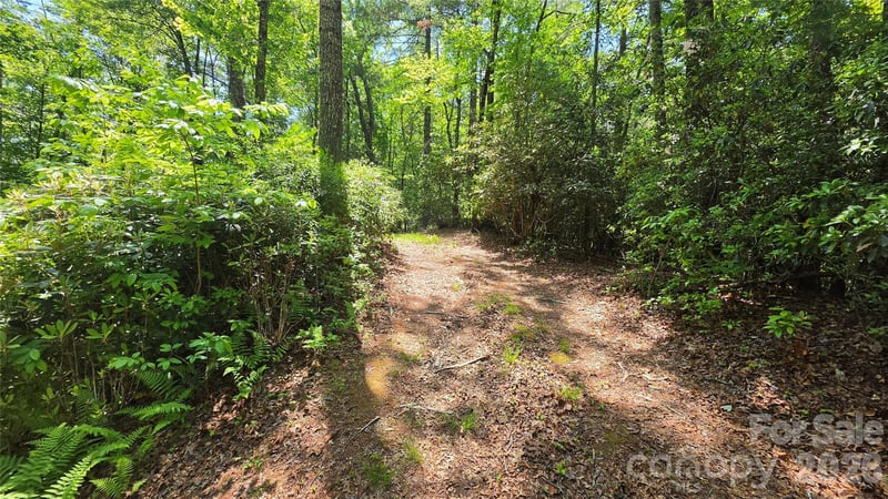 262 Wingfield Way, Brevard, NC 28712
