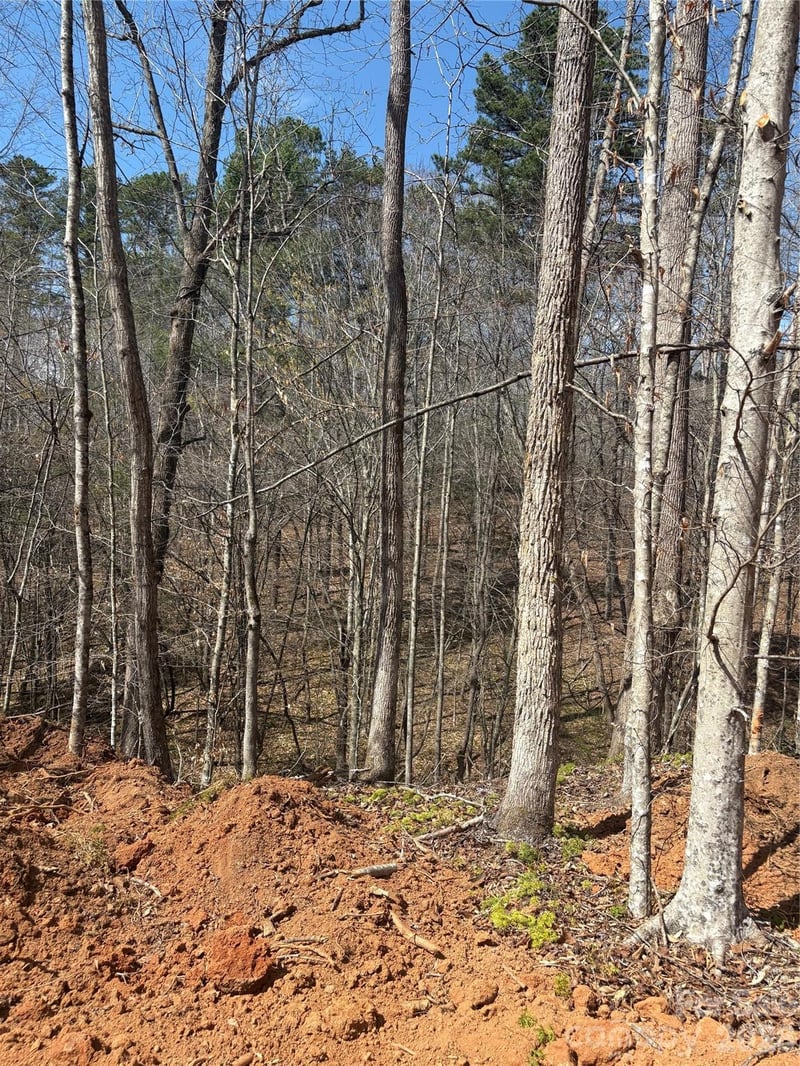 TBD Avenida De Oro Rd #3.2, Morganton, NC 28655