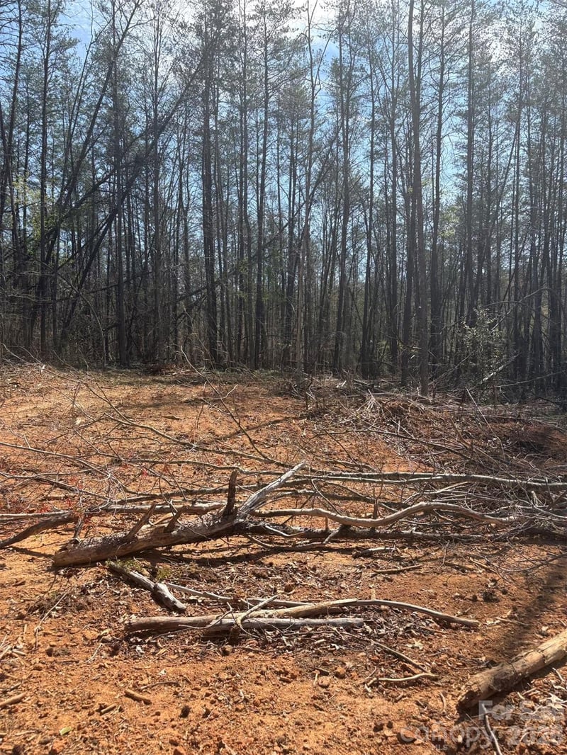 TBD Avenida De Oro Rd #3.2, Morganton, NC 28655