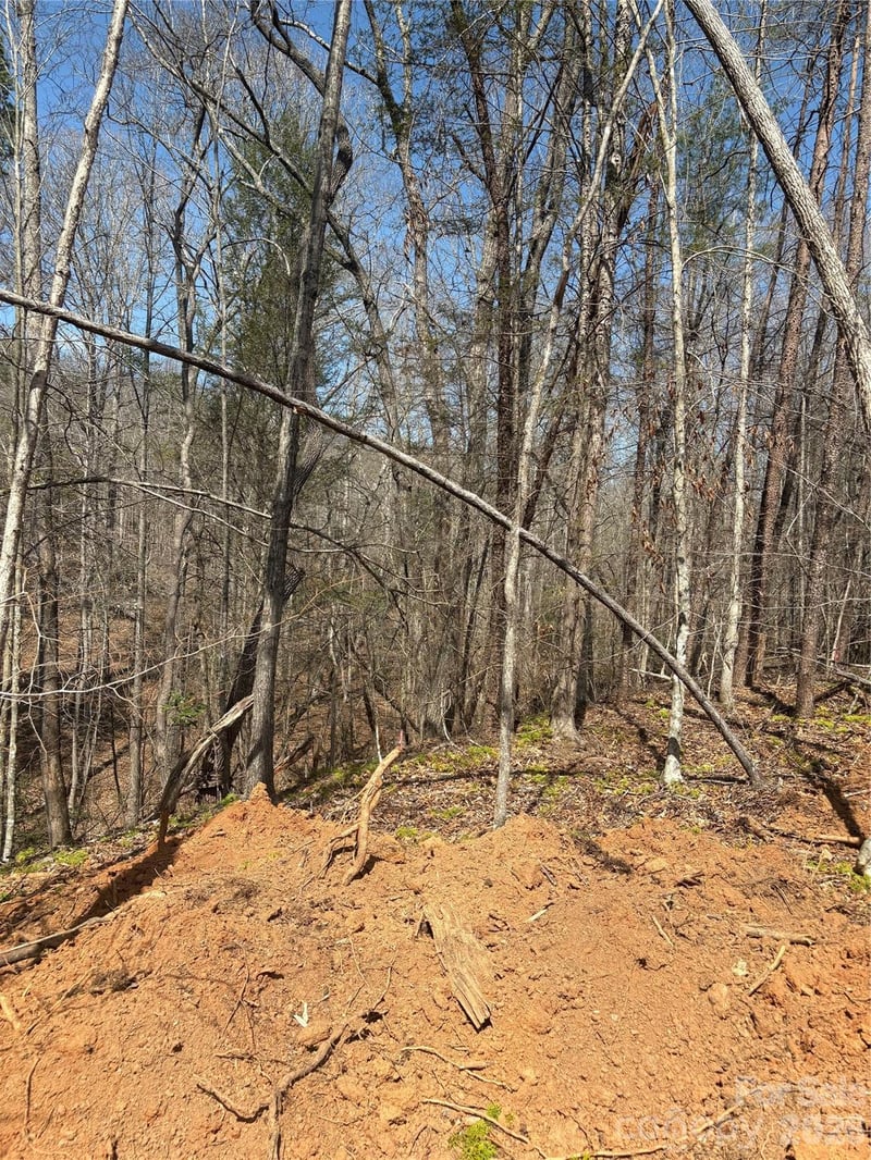 TBD Avenida De Oro Rd #3.2, Morganton, NC 28655