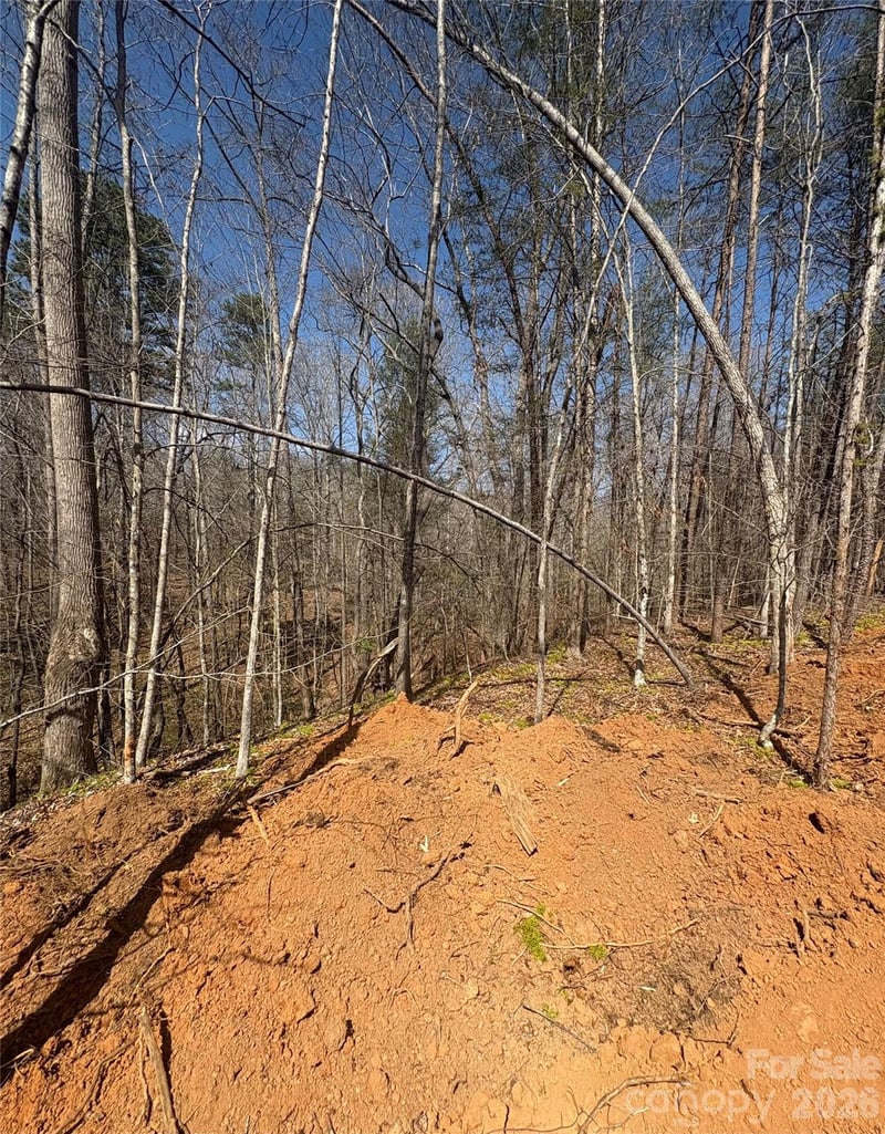 TBD Avenida De Oro Rd #3.2, Morganton, NC 28655