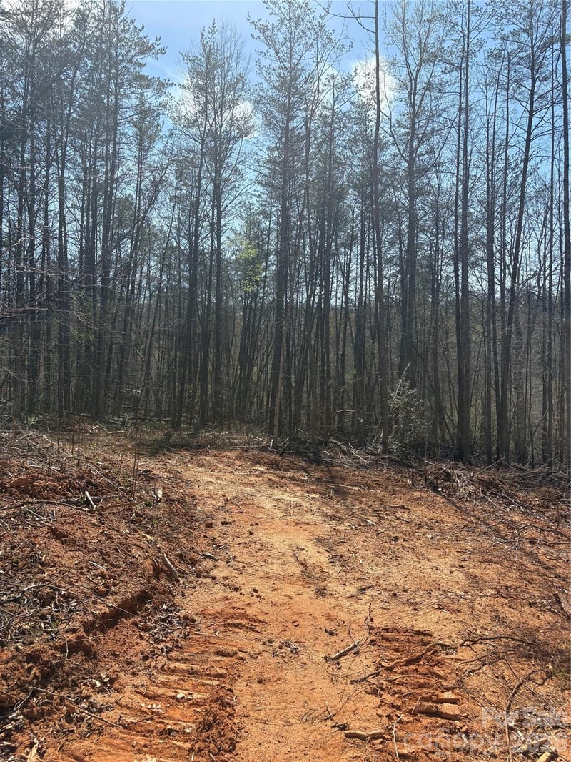 TBD Avenida De Oro Rd #2.3, Morganton, NC 28655