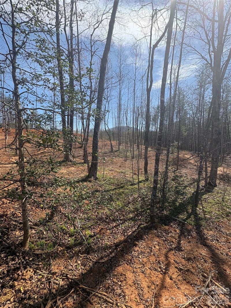 TBD Avenida De Oro Rd #2.1, Morganton, NC 28655