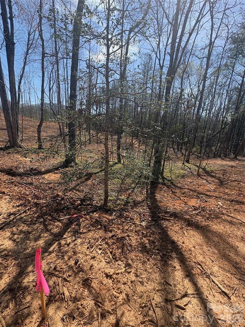 TBD Avenida De Oro Rd #2.1, Morganton, NC 28655