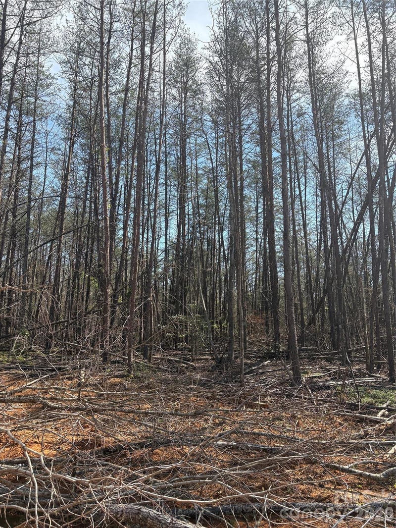 TBD Avenida De Oro Rd #2.2, Morganton, NC 28655