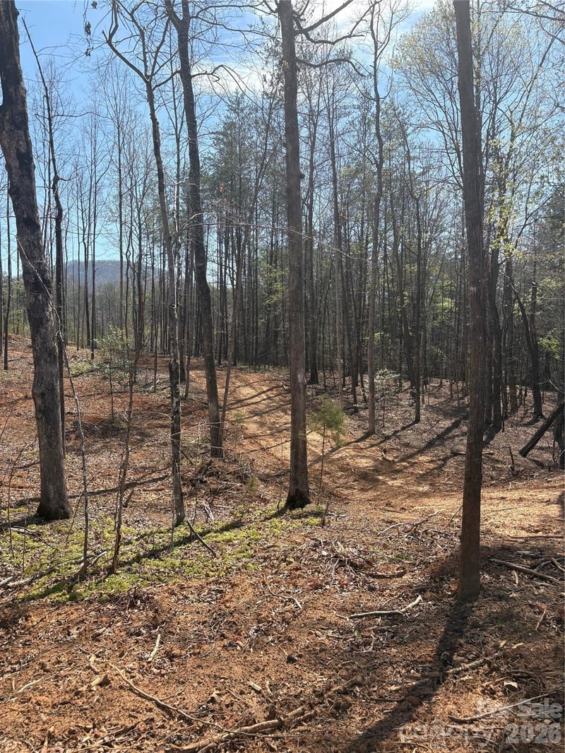 TBD Avenida De Oro Rd #2.2, Morganton, NC 28655