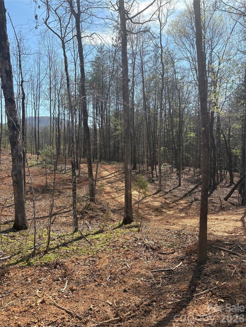 TBD Avenida De Oro Rd #2.2, Morganton, NC 28655