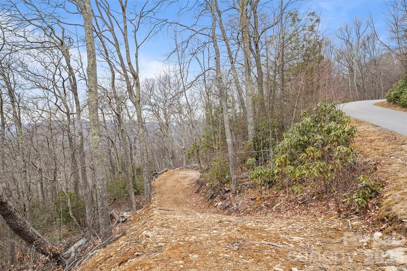 1480 Odalu Trl, Maggie Valley, NC 28751
