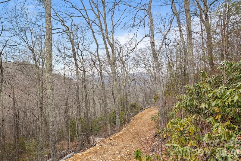 1480 Odalu Trl, Maggie Valley, NC 28751