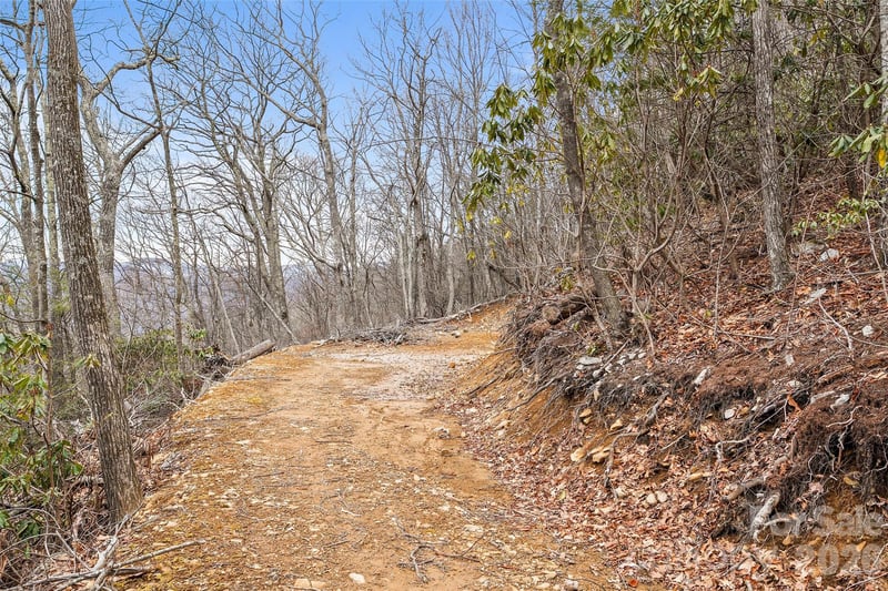 1480 Odalu Trl, Maggie Valley, NC 28751