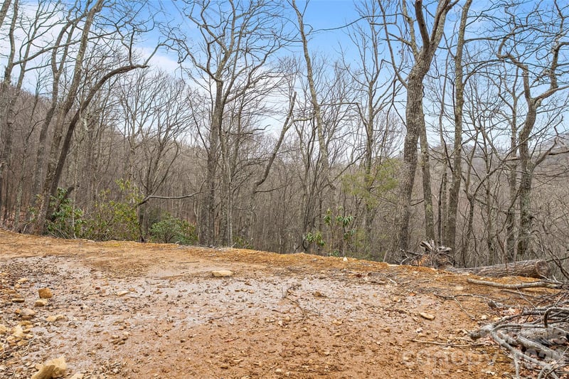 1480 Odalu Trl, Maggie Valley, NC 28751