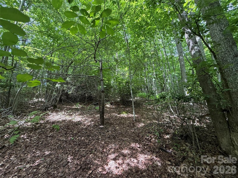 0000 Hardwood Summit Dr #191, Hendersonville, NC 28739