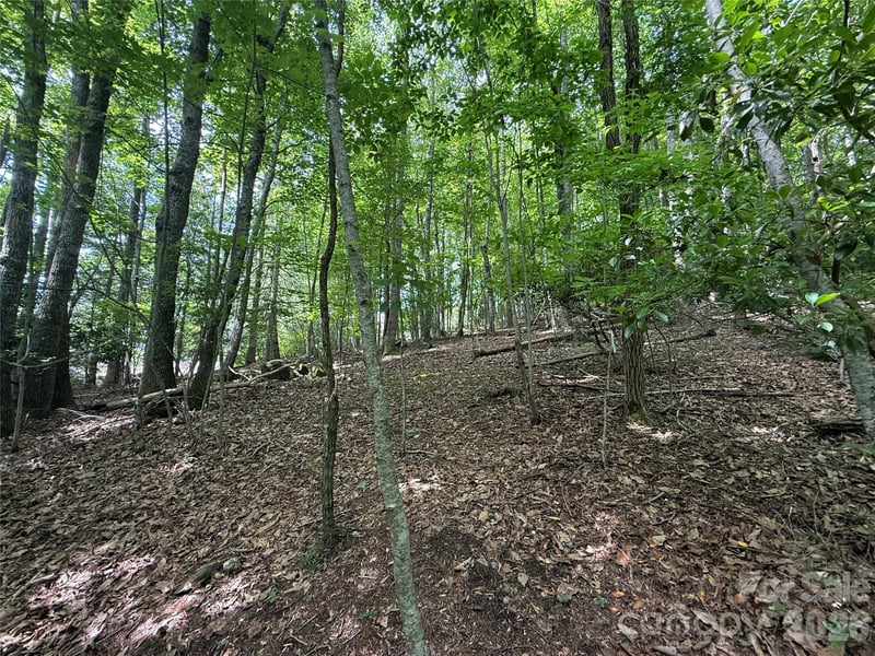 0000 Hardwood Summit Dr #191, Hendersonville, NC 28739