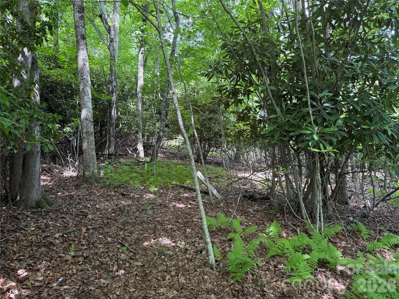 0000 Hardwood Summit Dr #191, Hendersonville, NC 28739