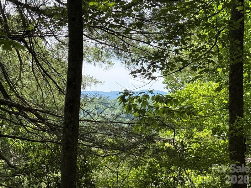 0000 Hardwood Summit Dr #191, Hendersonville, NC 28739