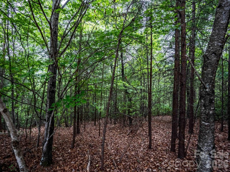 38 Deep Gap Farm Rd #38, Mill Spring, NC 28756